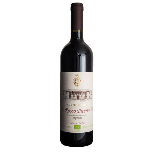 Azienda Saladini Pilastri Saladino Rosso Piceno Montetinello Superiore